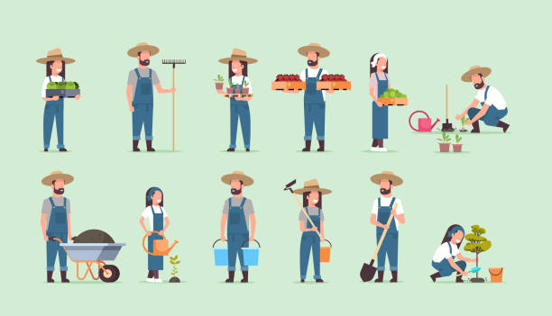 set male female farmers holding different farming equipment harvesting planting vegetables agricultural workers collection eco farming concept flat full length horizontal set male female farmers holding different farming equipment harvesting planting vegetables agricultural workers collection eco farming concept flat full length horizontal vector illustration watering pail stock illustrations