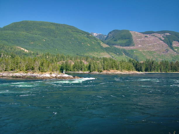 istock Tidal rapids at Skookumchuck Narrows Provincial Park 1143305494