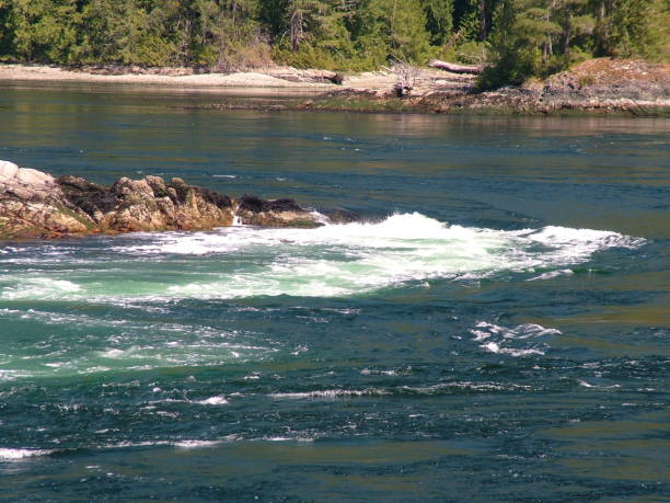 istock Tidal rapids at Skookumchuck Narrows Provincial Park 1143305592