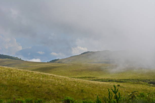 istock Landscapes of Fields Campos do Quiriri 1143306465