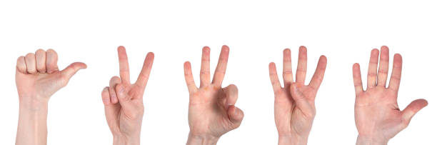 istock Male hands counting from one to five isolated on white background 1143306732
