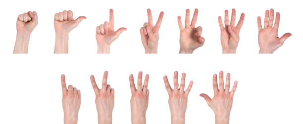 istock Male hands counting from zero to five isolated on white background 1143306837
