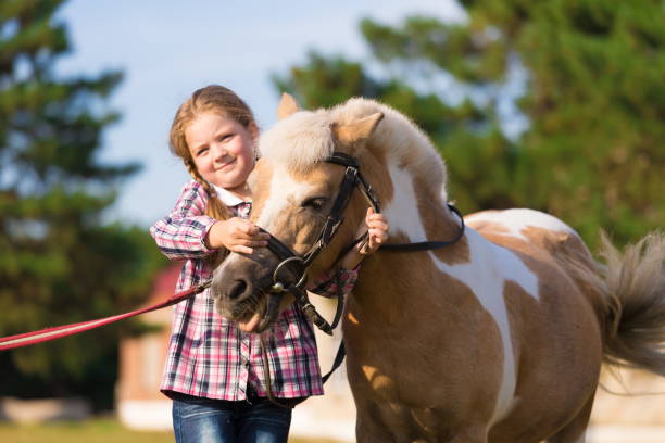 istock Pony. Face girl. Blue eyes. Close up 1143310357