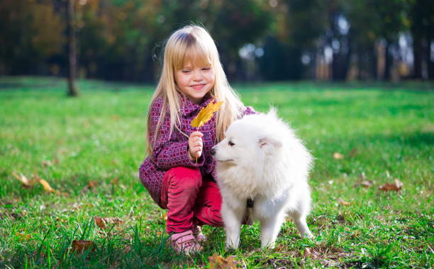 istock Girl, dog, fun, forest 1143310529