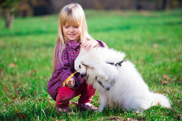 istock Girl, dog, fun, forest 1143310551