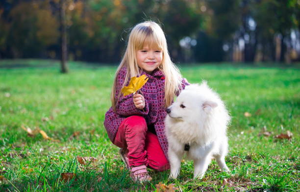 istock Girl, dog, fun, forest 1143310577