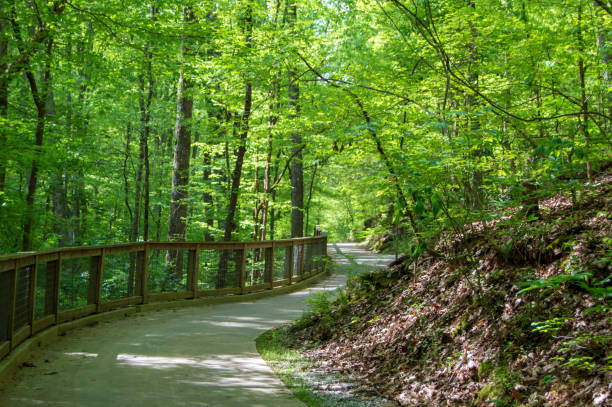 istock Little Mulberry Park, GA Forest Footpath 1143310656