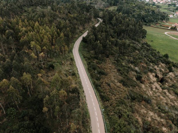 istock Road crossing a forest as seen from above 1143311417