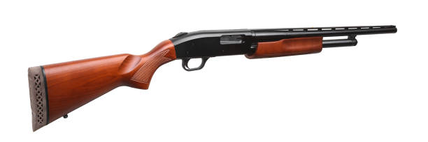 istock Shotgun isolated on white background 1143311743
