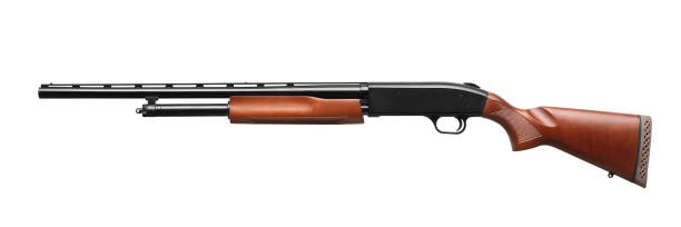 istock Shotgun isolated on white background 1143311765