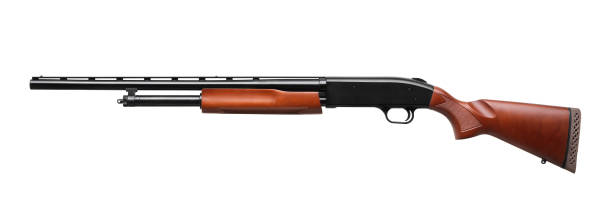 istock Shotgun isolated on white background 1143311771