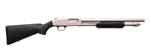 Black silver shotgun isolated on white background