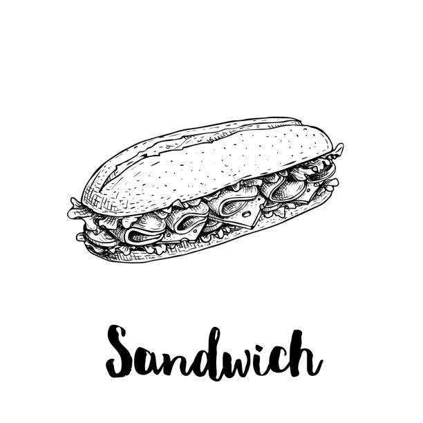 Long chiabatta sandwich with ham slices, cheese, tomatoes and lettuce leaves. Hand drawn sketch style. Fast food drawing for restaurant menus, street food packages. Vector illustration. Long chiabatta sandwich with ham slices, cheese, tomatoes and lettuce leaves. Hand drawn sketch style. Fast food drawing for restaurant menus, street food packages. Vector illustration. EPS10 + JPEG preview. sandwich stock illustrations