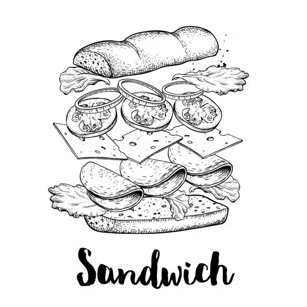 Vector illustration of Sandwich constructor. Flying ingredients with big chiabatta bun. Hand drawn sketch style vector illustration. Fast and street food drawing. Ham, cheese, tomato, onion and lettuce.