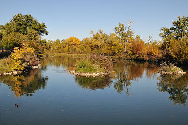 istock Inglewood Bird Sanctuary,Calgary 114331523