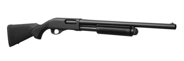 istock Shotgun isolated on white background 1143319697