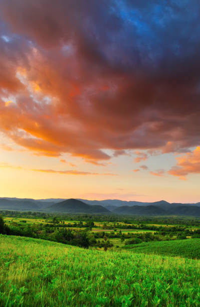 istock Colorful sunset in summer. 1143320783