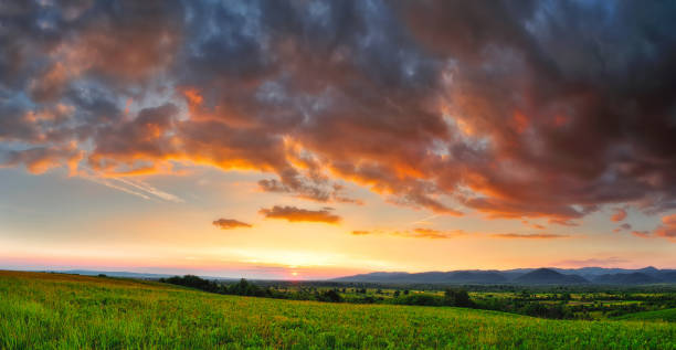 istock Colorful sunset in summer. 1143320834
