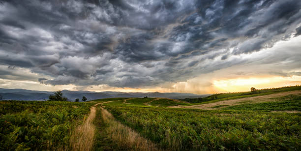 Dramatic storm scene with rain at the horizon and rural path going towards left