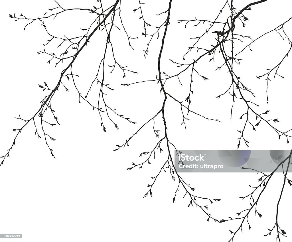 vector branches on white background branches of a tree on a white background in the spring Woodland stock vector