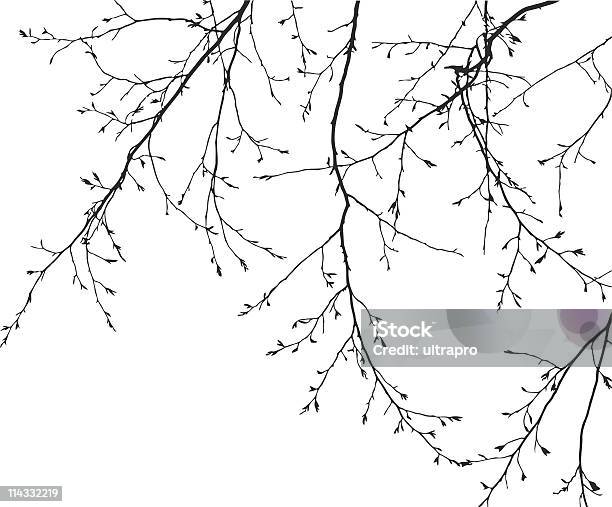 Vector Branches On White Background Stock Illustration - Download Image Now - Woodland, Black Color, Branch - Plant Part