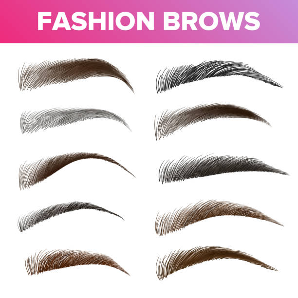 fashion brows verschiedene formen und typen vector set - braut stock-grafiken, -clipart, -cartoons und -symbole