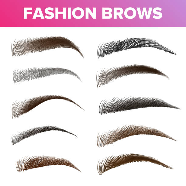 Fashion Brows Various Shapes And Types Vector Set Fashion Brows Various Shapes And Types Vector Set. Brown And Black Brows Pack. Beautician Parlor, Salon Sign Isolated Design Element. Beauty Industry. Trendy Eyebrows Realistic Illustration eyebrow stock illustrations