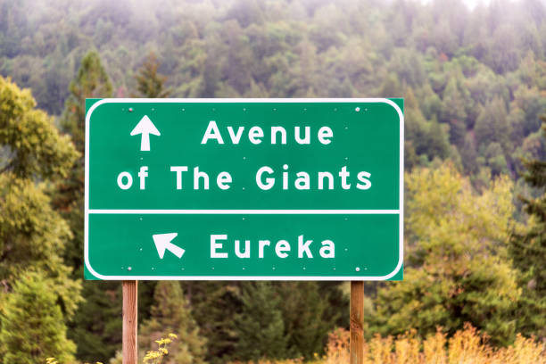 istock Highway Sign in Northern California 1143322594