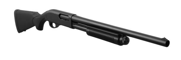 istock Shotgun isolated on white background 1143323828