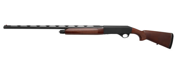 istock Shotgun isolated on white background 1143328457