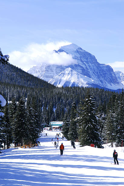 istock People skiing in the mountains 114333243