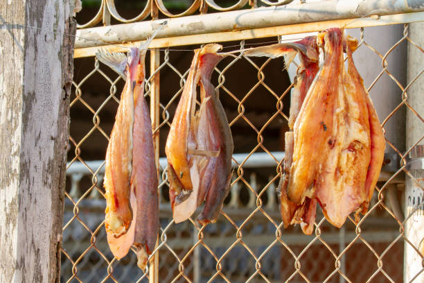 istock Fish filets drying on fence 1143334419