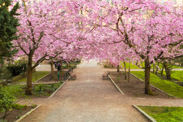 istock Seminariepark in Gothenburg 1143334482