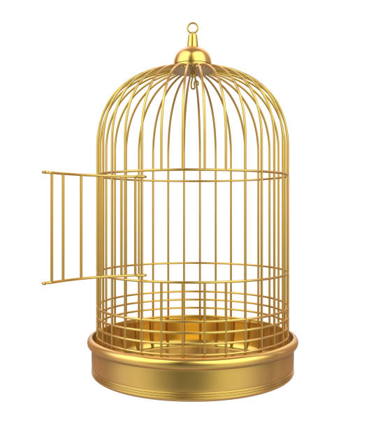 istock Golden Birdcage Isolated 1143335676