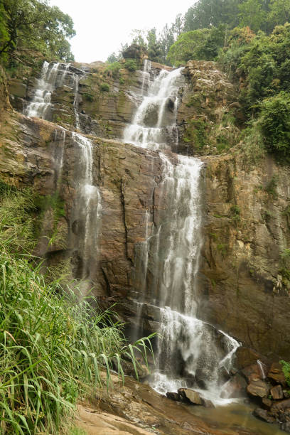 istock Nature in Sri Lanka 1143338559