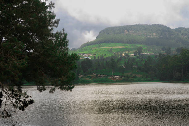 istock Nature in Sri Lanka 1143339738