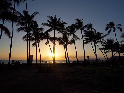 People watch and take photos of dramatic Sunset dropping behind the ocean through Coconut trees on Kaimana Beach by lifeguard tower 2H with boats on the water on Oahu, Hawaii.