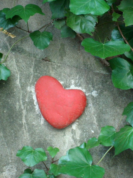 istock Red Heart on Wall surrounded by Ivy Vines 1143340878