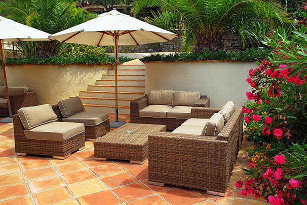 Garden and patio in the warm afternoon sun