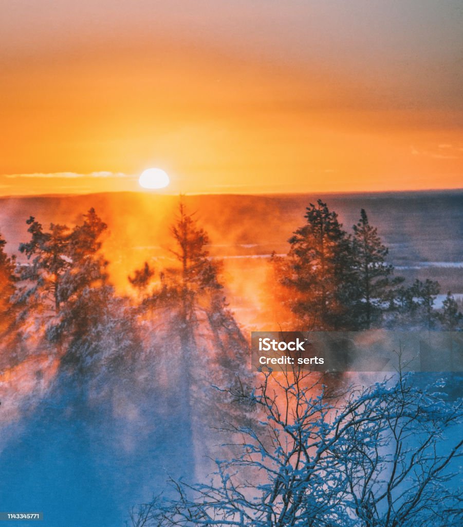 Beautiful sunset view on foggy and snowy forest in Lapland, Finland Landscape shot of beautiful sunrise view on foggy and snowy forest on very cold January day in Levi, Rovaniemi, Lapland, Finland Winter Stock Photo