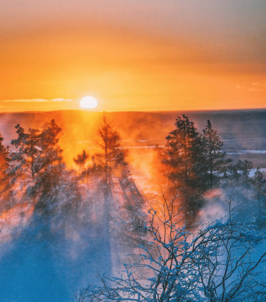 красивый вид на закат в туманном и снежном лесу в лапландии, финляндия - winter sunlight sun january стоковые фото и изображения