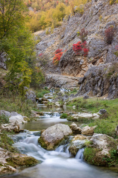 istock Long exposure mountain creek in a canyon and red autumn trees 1143346517