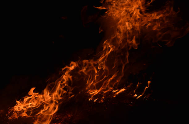 istock Burning of rice straw at night. 1143346552