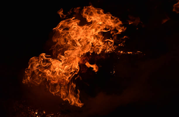 istock Burning of rice straw at night. 1143346576