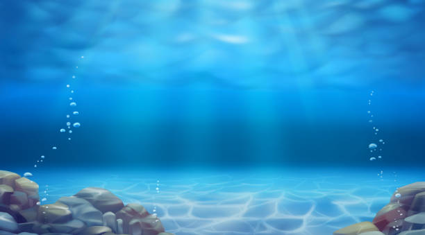 unterwasserlandschaft. realistischer vektorhintergrund - unterwasseraufnahme stock-grafiken, -clipart, -cartoons und -symbole