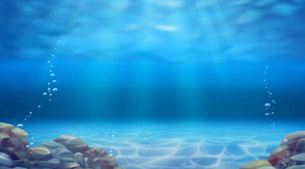 ilustraciones, imágenes clip art, dibujos animados e iconos de stock de paisaje submarino. fondo vectorial realista - subacuático