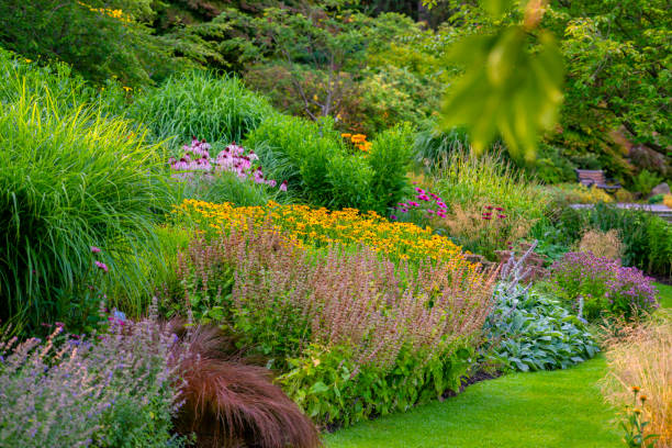 istock Lavish summer garden 1143348410