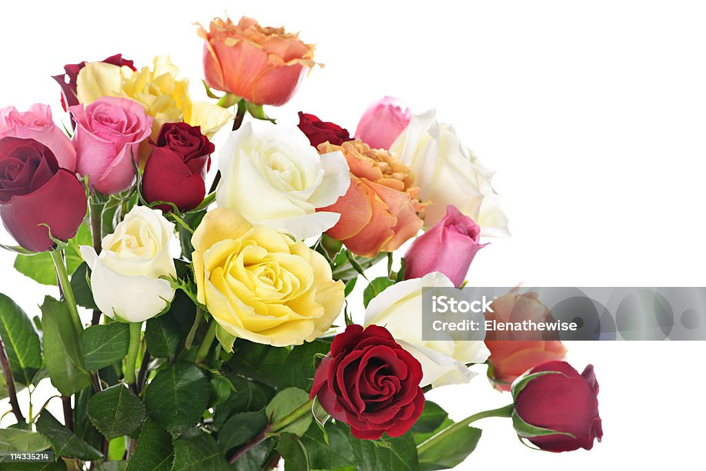 バラの花束 - 植物 バラのロイヤリティフリーストックフォト