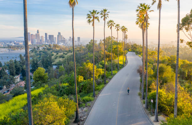 Young Woman Walking Down Palm Trees Street Revealing Downtown Los Angeles Drone shot of a woman walking down a street toward Downtown Los Angeles. city of los angeles stock pictures, royalty-free photos & images