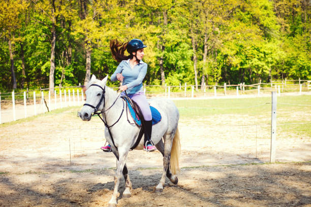 istock Woman practicing with her horse outdoors 1143359526